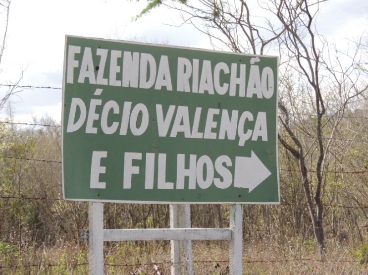 Foto das primeiras placas de sinalização da fazenda
