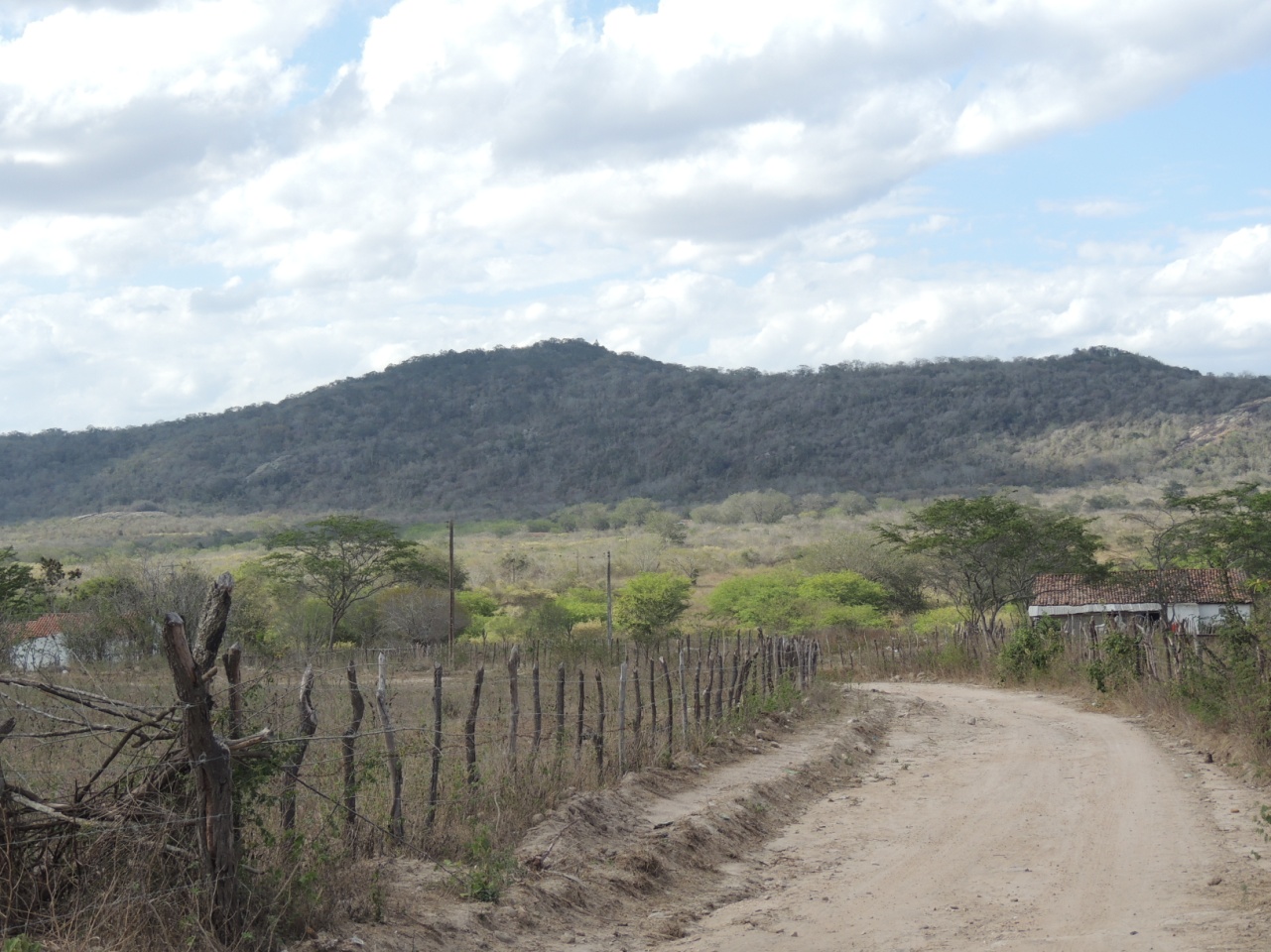 Foto da Serra da Onça preservada